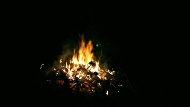 Stor Vacker Brasa Svart Bakgrund Riktiga Eldflammor Bränner Igniterad Nattlägereld — Stockvideo