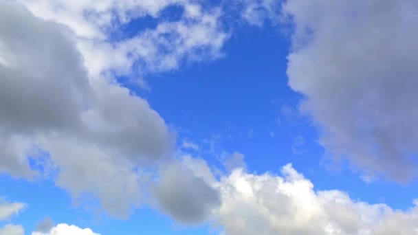 Cielo Blu Con Nuvole Cumulo Bianco Bandiera Contesto Carta Parati — Video Stock