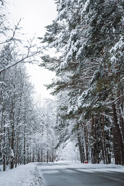 Üres út a havas téli erdőben. Magas fenyőfák tájképe. Festői kilátás hófödte lucfenyőre a fagyos napon. Fotótapéták. Mesés természeti kép. Boldog új évet! A Föld szépsége. Függőleges — Stock Fotó