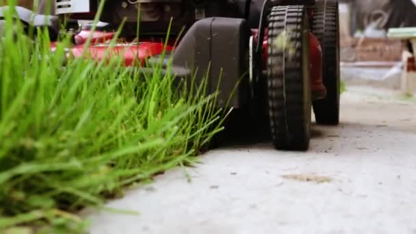 庭の赤い芝刈り機。芝生を刈る労働者の側のビューの低角度。緑の草の切断の活動の詳細。ランドスケーピングケア。庭のメンテナンス。接近中だ。庭師サービス。コンクリート舗装道路 — ストック動画