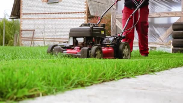 Červená zahradní sekačka. Nízký úhel bočního pohledu na sekání trávníku. Údaj o činnosti sekání zelené trávy. Zahradní péče. Zahradní údržba. Detailní záběr. Zahradní servis. Betonová dlažba silnice — Stock video