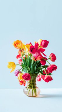 Renkli lalelerden oluşan büyük bir buket, açık mavi arka planda, üzerinde fotokopi alanı olan klasik cam vazoda. Kartvizit. Davetiye kartı. Tebrik mesajı için uygun bir yer. Uluslararası tatil. Pankart.