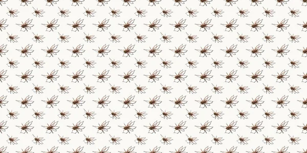 Бесшовный рисунок с большим пауком изолирован на белом фоне. Большой представитель отечественного паукообразного. Страх или боязнь пауков. 8 ног. Принято. Фото из студии. Концепция цветочной формы — стоковое фото