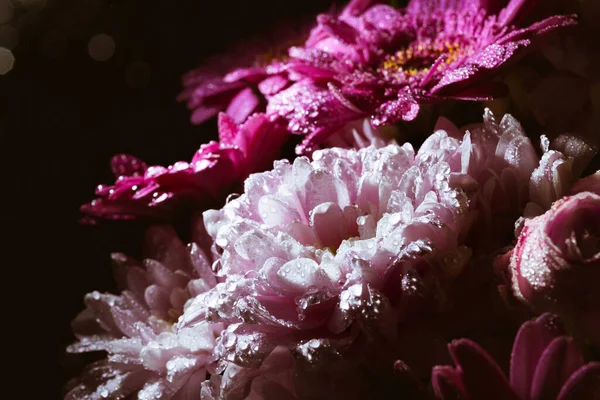 Banner mit schönem Bouquet von Chrysanthemen und Gerbera unter Spray in Tropfen auf schwarzem Hintergrund mit Kopierraum. Visitenkarte eines Blumengeschäfts. Beerdigungsblumen. Gedenktag. Dunkelheit — Stockfoto