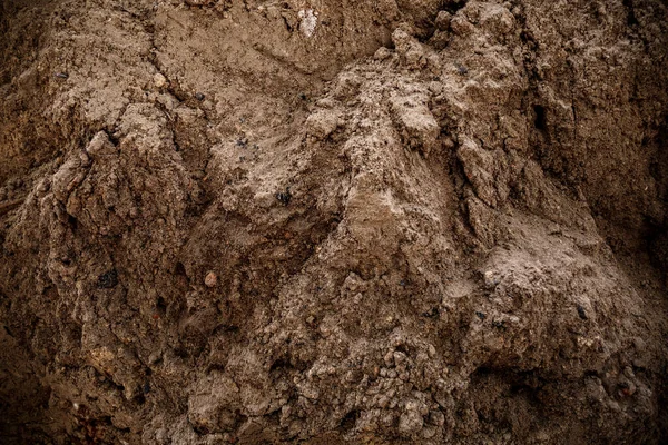 Textura del suelo. Una capa de la tierra profundamente en el primer plano. Arena de construcción. Copiar espacio. Fondo rocoso. Tipo de fertilidad del suelo. El concepto de excavaciones arqueológicas. Superficie rugosa — Foto de Stock