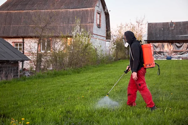 Farmers spraying pesticide on lawn field wearing protective clothing. Insecticide sprayer with a proper protection. Treatment of grass from weeds and dandelion. Copy space. Gardening care season. Man Stock Image