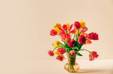 Çok renkli lalelerden oluşan büyük bir buket, bej arkaplanlı ve fotokopi alanı olan klasik cam vazoda. Kartvizit. Davetiye kartı. Tebrik mesajı için uygun bir yer. Uluslararası tatil. Pankart.