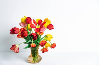 Çok renkli lalelerden oluşan büyük bir buket beyaz arkaplanlı ve fotokopi alanı olan klasik cam vazoda. Kartvizit. Davetiye kartı. Tebrik mesajı için uygun bir yer. Uluslararası tatil. Pankart.