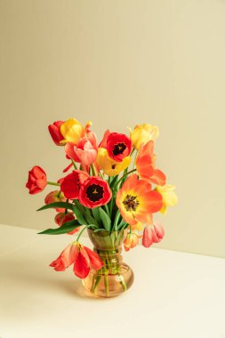 Çok renkli lalelerden oluşan büyük bir buket, bej arkaplanlı ve fotokopi alanı olan klasik cam vazoda. Kartvizit. Davetiye kartı. Tebrik mesajı için uygun bir yer. Uluslararası tatil. Pankart.