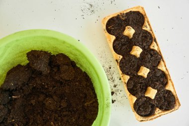 Tohumları ekmek için toprak ve form. Bahçıvanlar için hayat sigortası. Yumurta kutusu kullanıyor. Tarım ya da tarım şablonu. Faydalı bir hobi. Bitki seçimi. Yakın plan. Hazırlık süreci büyüyor.