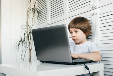 5 yaşındaki bir çocuk masada oturur, dizüstü bilgisayar kullanır ve ekrana bakar. Çocuk ev ödevi yapıyor, video oyunları oynuyor, bilişim geliştirme okuyor, çizgi film izliyor. Ev uzaklığı çevrimiçi eğitim kavramı.