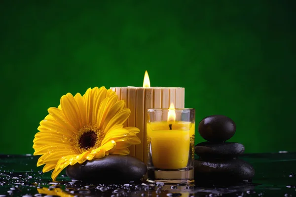 Wellness-Stillleben mit Blume und Wassertropfen — Stockfoto