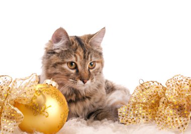 cute cat and christmas decoration clipart