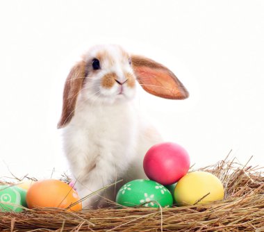Paskalya tavşanı ve yumurta