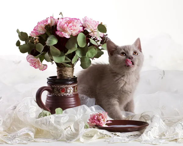 Small kitten and flowers — Stock Photo, Image