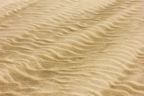 Sand dunes — Stock Photo, Image