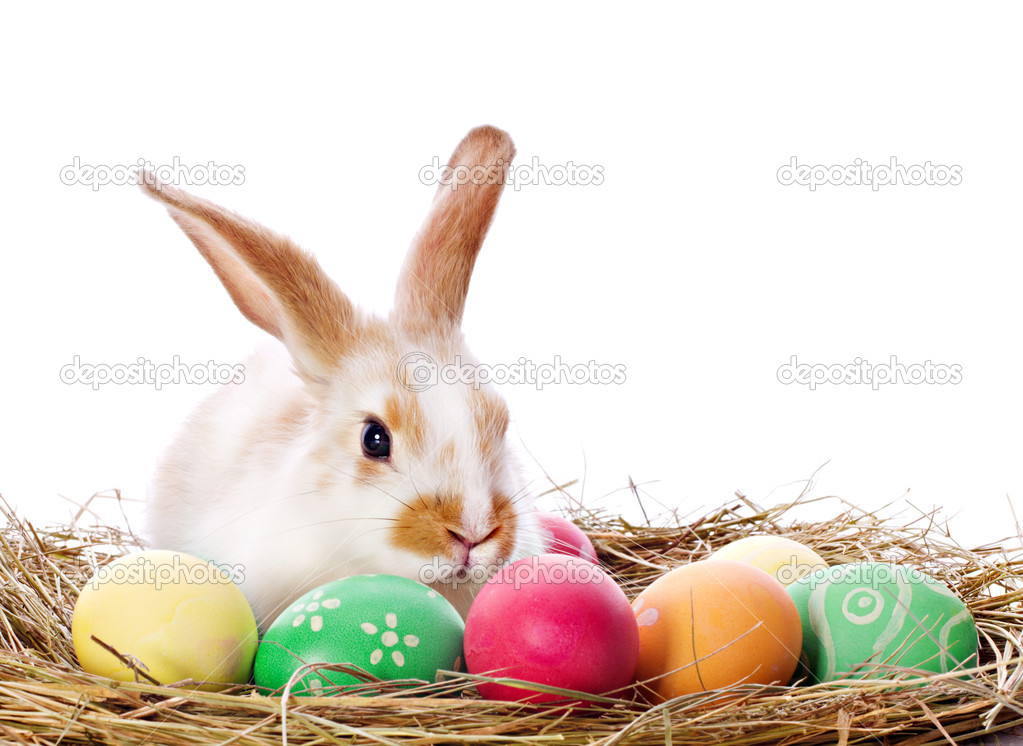 Easter bunny and colored eggs