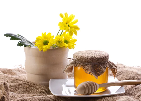 A méz és a virágok — Stock Fotó