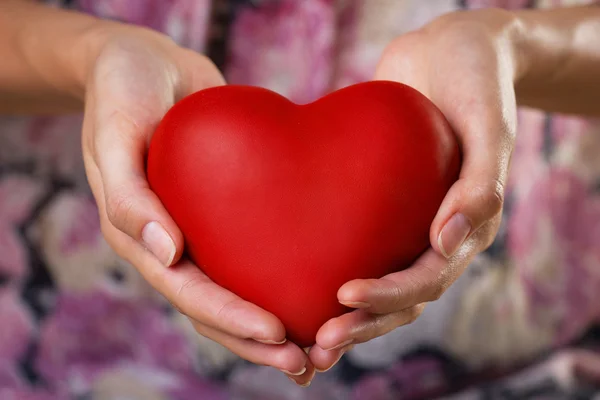 Corazón en las palmas — Foto de Stock