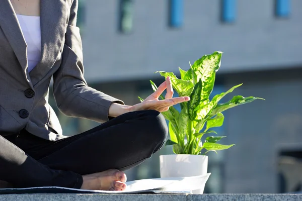 Mulher de negócios meditando e flor — Fotografia de Stock