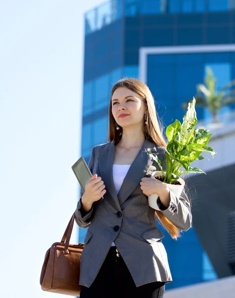 Young attractive business women — Stock Photo, Image