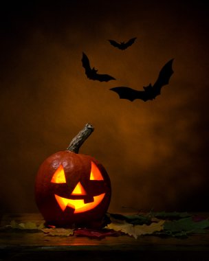 Halloween - kabak ve yarasalar