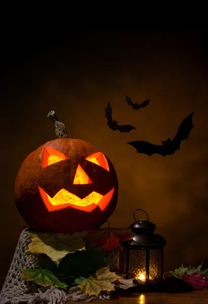 Halloween - pumpkin and bats — Stock Photo, Image