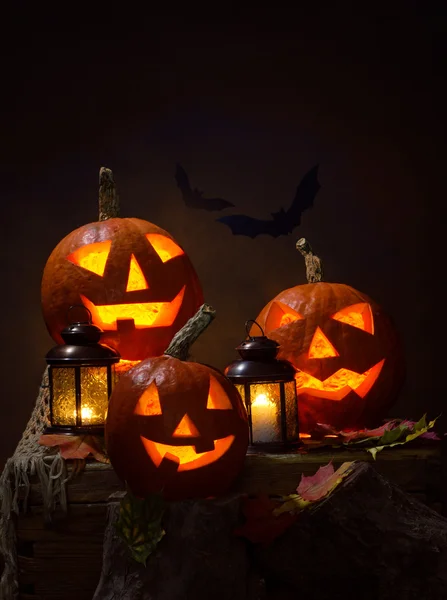 Halloween, pumpkins and bats — Stock Photo, Image