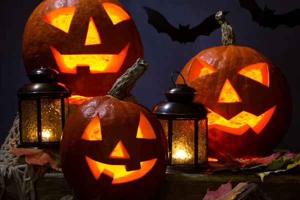 Halloween pumhkins and bats — Stock Photo, Image