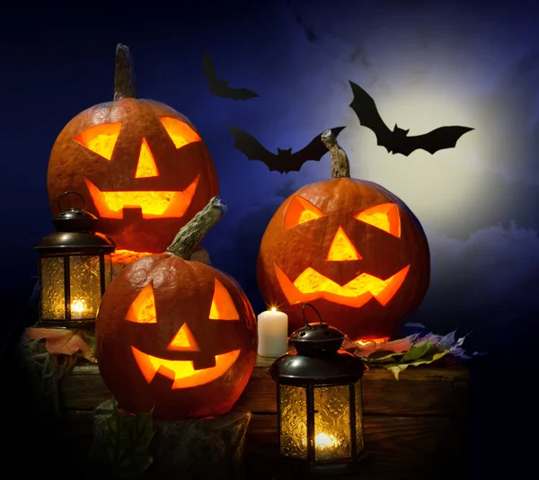 Pumpkins and vampire - bat — Stock Photo, Image