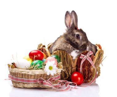 Bunny ve easterl yumurta