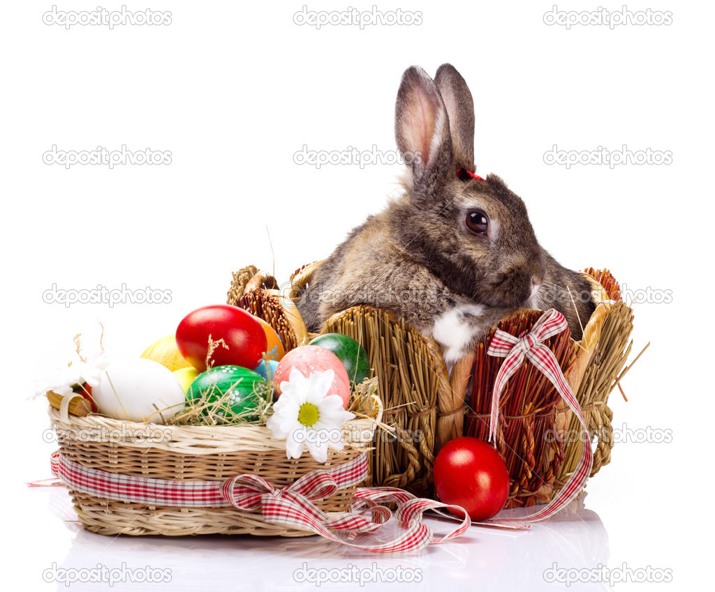 Bunny and easterl  eggs
