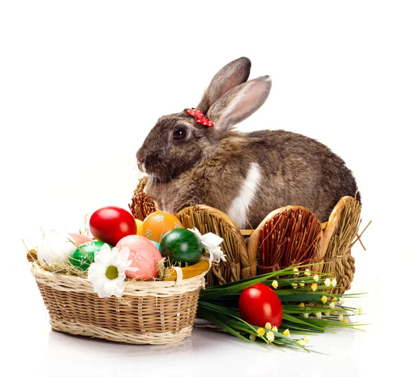 Huevos y flores de conejo de Pascua — Foto de Stock