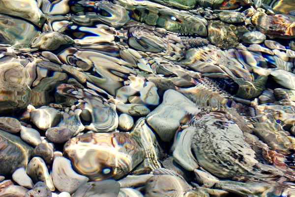 Stones under  sunny water — Stock Photo, Image