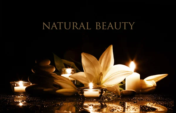 Spa beauty composition — Stock Photo, Image