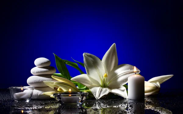 Wellness Stillleben mit Blume — Stockfoto