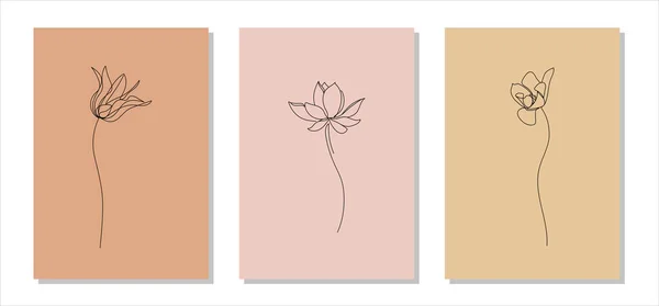 Set Flowers Minimalistic Linear Illustrations — Stockvector