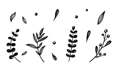 set of branches and small elements for decoration