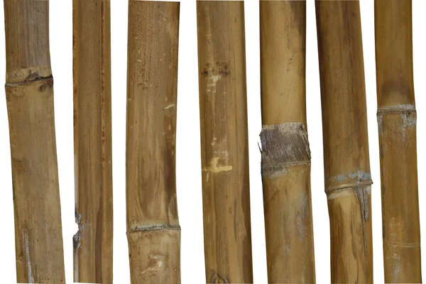 Cadre en bambou . — Photo