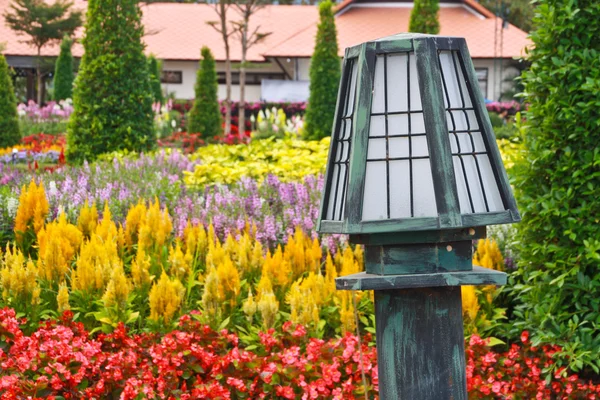 Lampor i trädgården. — Stockfoto