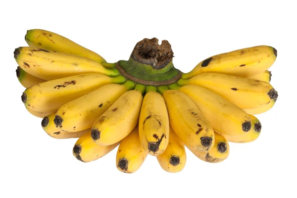 香蕉鸡蛋 — 图库照片