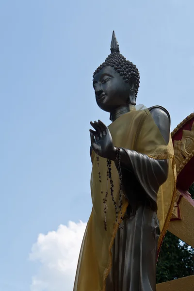 Buda negro — Fotografia de Stock