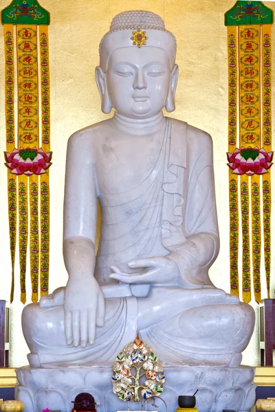 Weißer Jadebuddha — Stockfoto