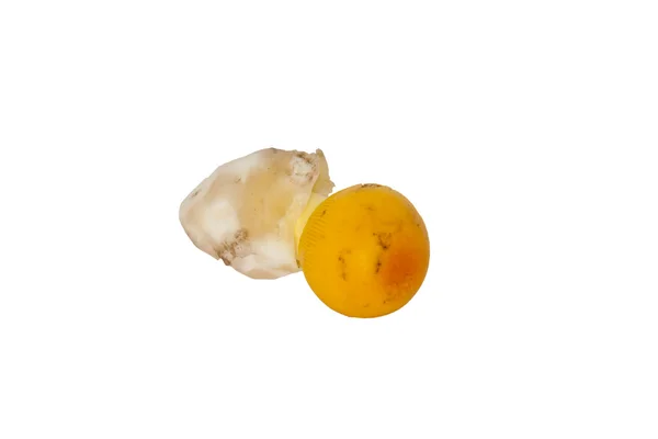 노란 버섯 — 스톡 사진