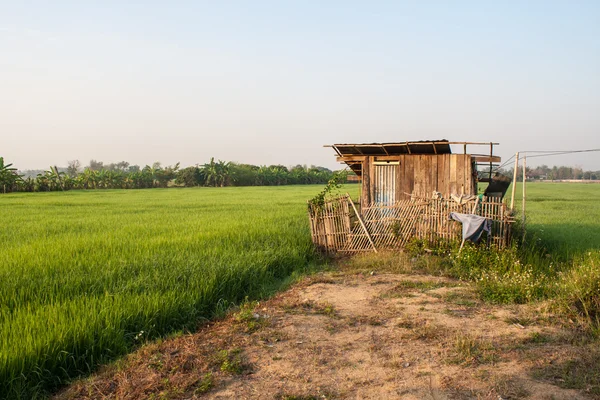 Vecchi campi cottage — Foto Stock