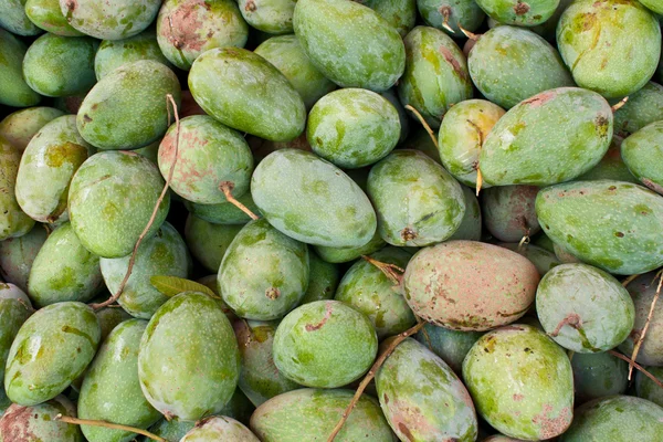 Green Mango — Stock Photo, Image