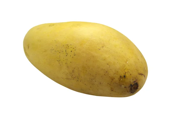 Mango gul — Stockfoto