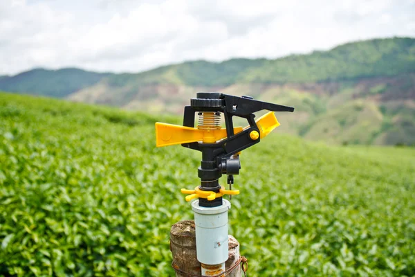 Irrigatore in piantagione di tè — Foto Stock