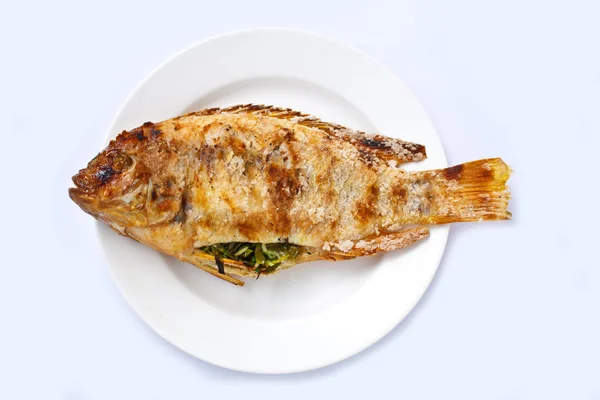 Czerwony tilapia grill — Zdjęcie stockowe