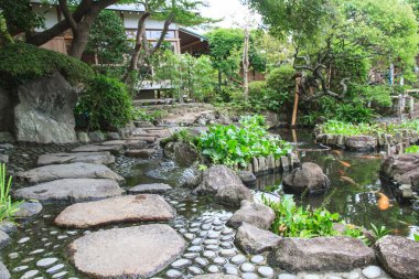 Japon tarzı Bahçe